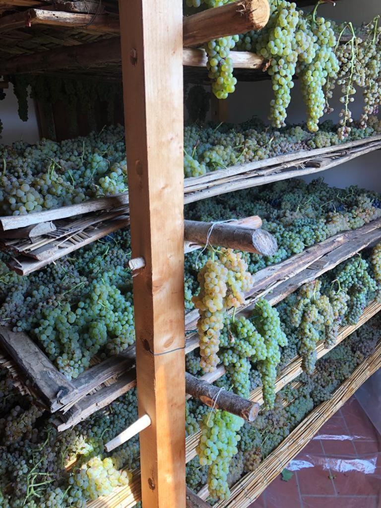 Podere San Giusto Филине Валдарно Екстериор снимка